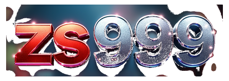 zs999 logo